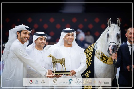 صور مقتطفة لليوم الختامي من بطولة ابوظبي الدولية 2024 للخيل العربية – جولة الجياد العربية