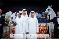 “عجمان” يحلق بذهبيتين وفضية وبرونزية من “أبوظبي الدولية 2024” – جولة الجياد العربية