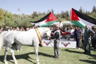 بطولة الشرق الأوسط لجمال الخيول العربية الأصيلة تنطلق اليوم بالأردن