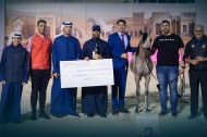 برعاية منصور بن زايد.. ينطلق كأس الإمارات العالمي لجمال الخيل العربية بالبحرين