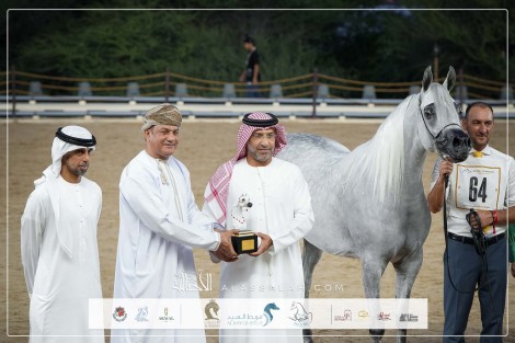 نتائج اليوم الثاني لجولة الجياد العربية 2024 – بمدينة مسقط