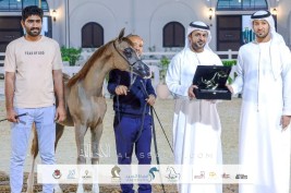 70 فلواً تم تتويجهم بجوائز بلغت 805 الف درهم في البطولة الرمضانية للخيل العربية بنادي أبوظبي