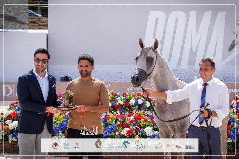 صور مقتطفة من جولة الجياد العربية 2024 في العاصمة الإيطالية روما