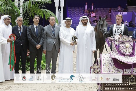 النتائج النهائية لبطولة الجديدة للخيول العربية 2024 بالمغرب