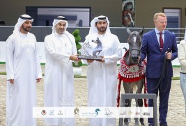 الأريام حبيب يحقق اللقب الفضي للأمهار في مهرجان الشارقة للجواد العربي- السلالة المصرية