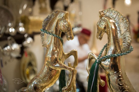 مقتطفات من اليوم الأول لأحداث معرض الفرس السادس وبطولة الجديدة لجمال الخيول العربية الأصيلة بالمغرب