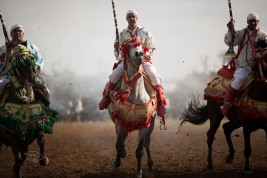 حديثاً: ركوب الخيل … وسيلة لعلاج الشلل وتحسين النطق لدى الأطفال