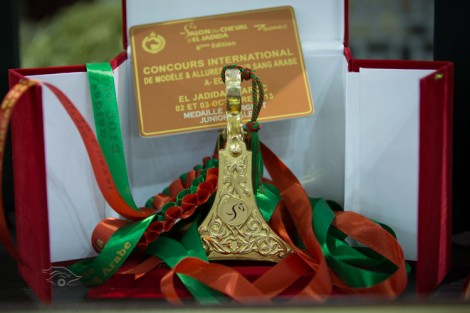 مقتطفات من اليوم الثاني لأحداث معرض الفرس السادس وبطولة الجديدة لجمال الخيول العربية الأصيلة بالمغرب