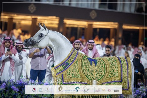 النتائج النهائية بالصور لختام جولة الجياد العربية 2024 بالرياض