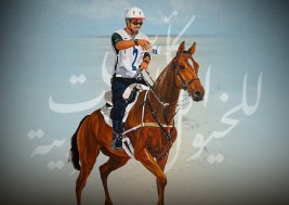 منصور بن زايد يوجه بتنظيم سباق قدرة للخيول العربية الأصيلة