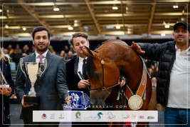 مربط الوجبة يتألق بلقبين في سماء باريس 2024  بطولة العالم للخيل العربية