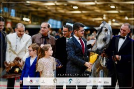 “باز الجاسمية” لمربط أكمل بطل العالم للأمهار بالإجماع في باريس 2024