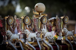 مقتطفات من اليوم الأول لبطولة العالم لجمال الخيل العربية السلالة المصرية روما 2013