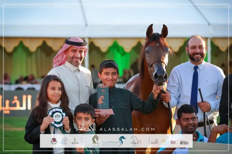 نتائج اليوم الأول للعرض الدولي السابع للخيل العربية – مركز الملك عبدالعزيز 2024