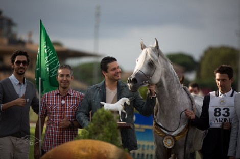 مقتطفات من اليوم الختامي لبطولة العالم لجمال الخيل العربية السلالة المصرية روما 2013