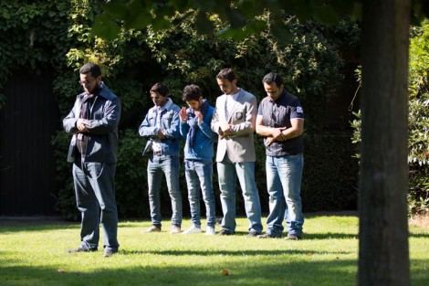 مقتطفات من اليوم المفتوح لمربط جادم – كريستينا جمار ٢٠١٣