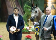 «المعود» يواصل تألقه في ميادين أوربا للجمال ويقتنص فضية البطولة الأوربيه للمهرات