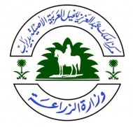 رفع الحظر عن تصدير الخيل العربية من المملكة العربية السعودية