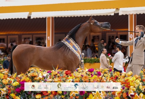 النتائج النهائية لجولة الجياد العربية – فالكينسفارد 2025