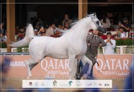 نتائج اليوم الثاني لجولة الجياد العربية – لندن 2025