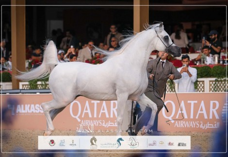 نتائج اليوم الثاني لجولة الجياد العربية – لندن 2025