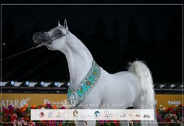 «برلين إم بي» و«شهاليل الشقب» أبطالاً للنسخة الثانية لجولة الجياد العربية 2025