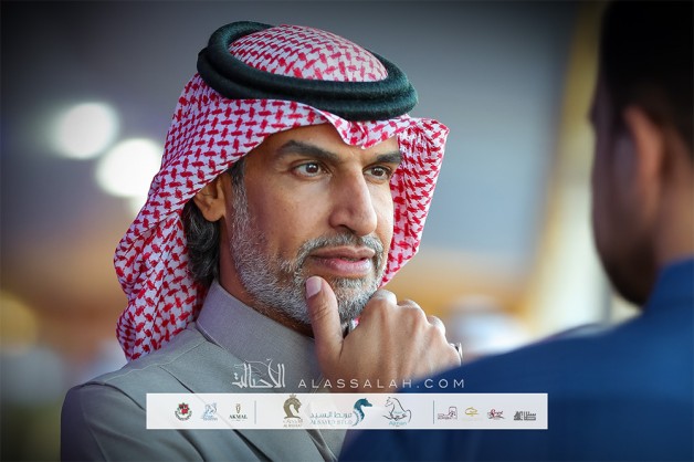 مستقبل الخيل العربية.. ما بين قفزات عالمية وفجوة محلية