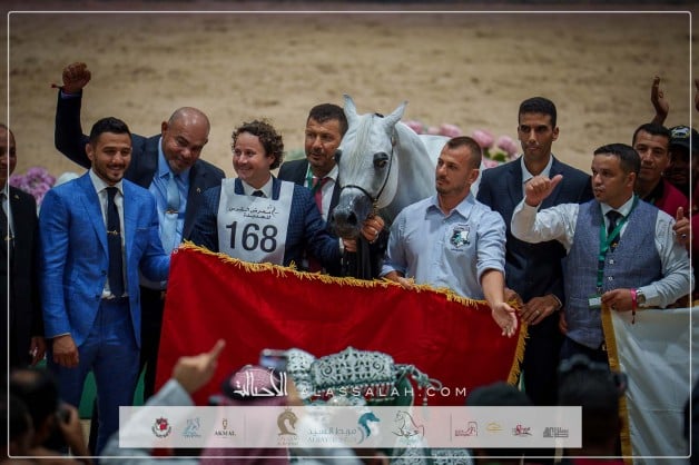 صور مقتطفة للبطولة الدولية للخيول العربية بالجديدة – المغرب 2025 
