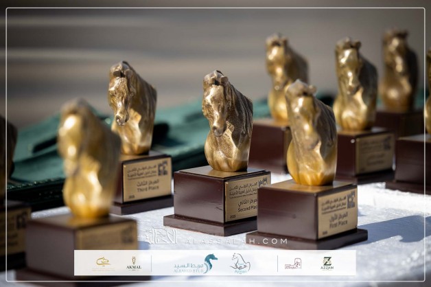 نتائج اليوم الأول للعرض الدولي الثامن للخيل العربية الأصيلة 2025