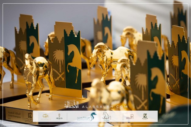 صور مقتطفة لليوم الختامي من العرض الدولي الثامن للخيل العربية الأصيلة 2025