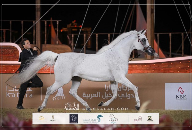 نتائج اليوم الثاني لبطولة الخيل الجزيرية الأصيلة 2026 مهرجان كتارا الدولي