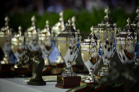 مقتطفات من اليوم الثاني لبطولة العالم لجمال الخيل العربية الأصيلة 2013