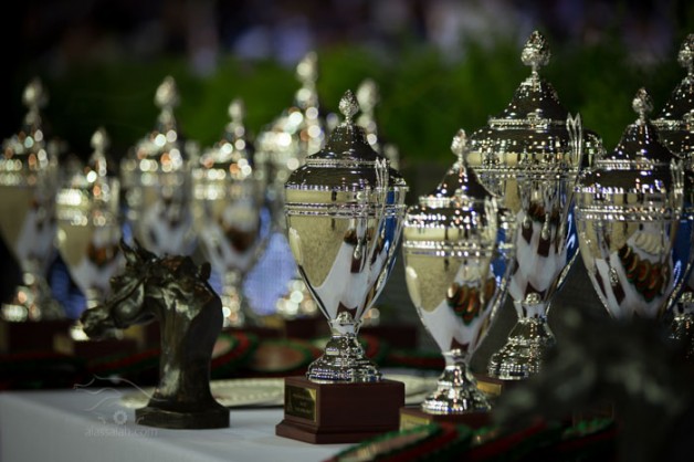 مقتطفات من اليوم الثاني لبطولة العالم لجمال الخيل العربية الأصيلة 2013