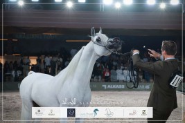 نتائج اليوم الثاني لجولة الجياد العربية – مسقط 2026