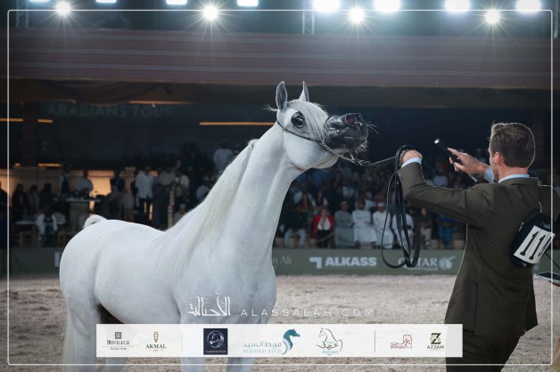 نتائج اليوم الثاني لجولة الجياد العربية – مسقط 2026