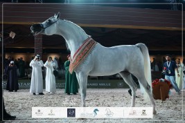 النتائج النهائية بالصور لجولة الجياد العربية – مسقط 2026