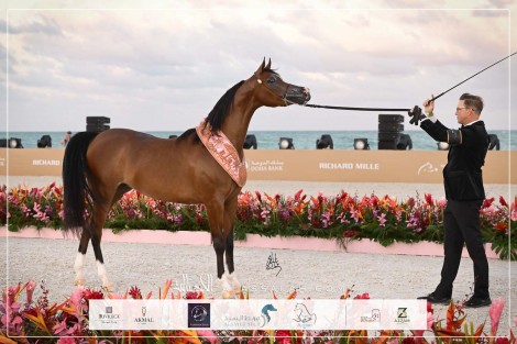 النتائج النهائية بالصور لجولة الجياد العربية – ميامي 2026