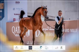 نتائج اليوم الأول لجولة الجياد العربية – موناكو 2026