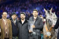 سيطرة خليجية على معظم جوائز بطولة العالم لجمال الخيل العربية ٢٠١٣