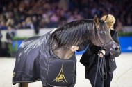 THE BEST DAM TROPHY in Paris 2015 World Arabian Horse Championship