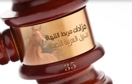 قائمة الخيل المعروضة في مزاد مربط التنهاة ٣٥ للخيل العربية الأصيلة