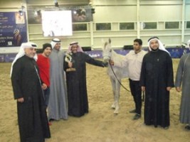 منافسات مثيرة في بطولة الكويت لجمال الخيل العربية