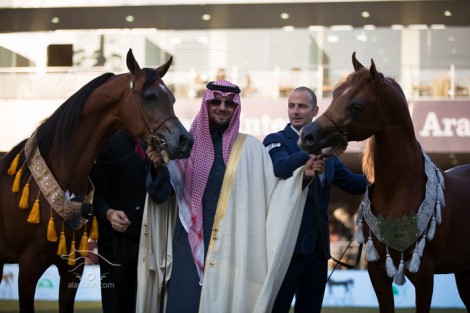 مقتطفات من اليوم الختامي لبطولة الأمير سلطان العالمية لجمال الخيل العربية الأصيلة