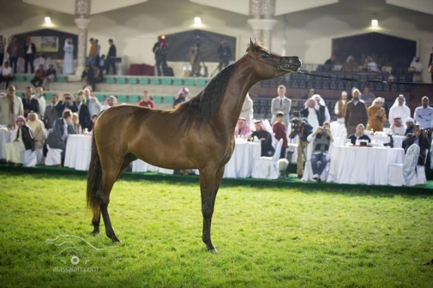 مسرحية أبوظبي بين الإستفزاز والتهريج!