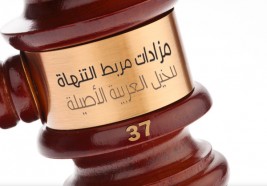 قائمة مزاد مربط التنهاة الـ ٣٧ للخيل العربية الأصيلة