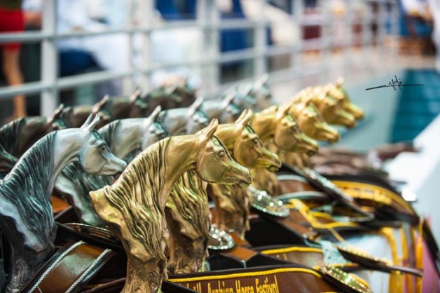 بطولة الشارقة المحلية للجواد العربي تنطلق غداً