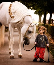 Horses and Equestrian reduce stress in children and adolescents