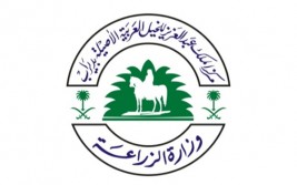 مسودة تنظيم سباقات السرعة  في طور الإعداد بمركز الملك عبدالعزيز للخيل العربية الأصيلة