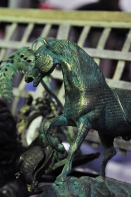 مصر تستضيف غد البطولة الدولية الـ17 لجمال الخيول العربية الأصيلة