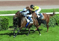 في فرنسا الفرس ماندي عذبة تحقق المركز الأول